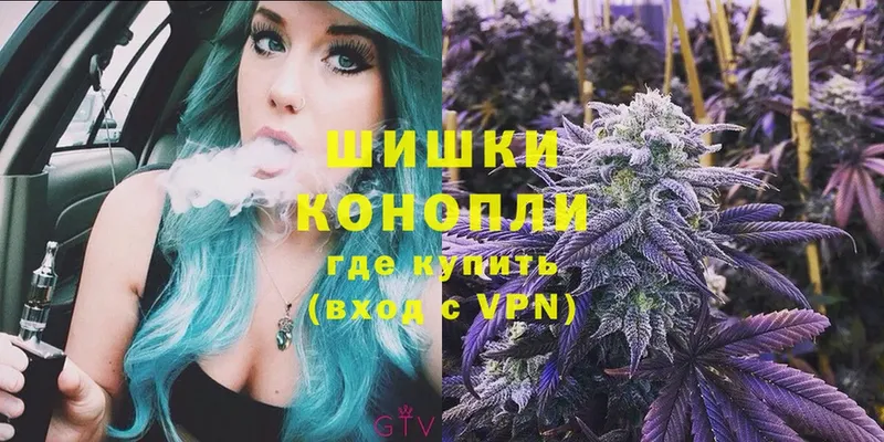 где найти наркотики  Грайворон  ссылка на мегу зеркало  Каннабис THC 21% 